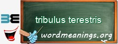 WordMeaning blackboard for tribulus terestris